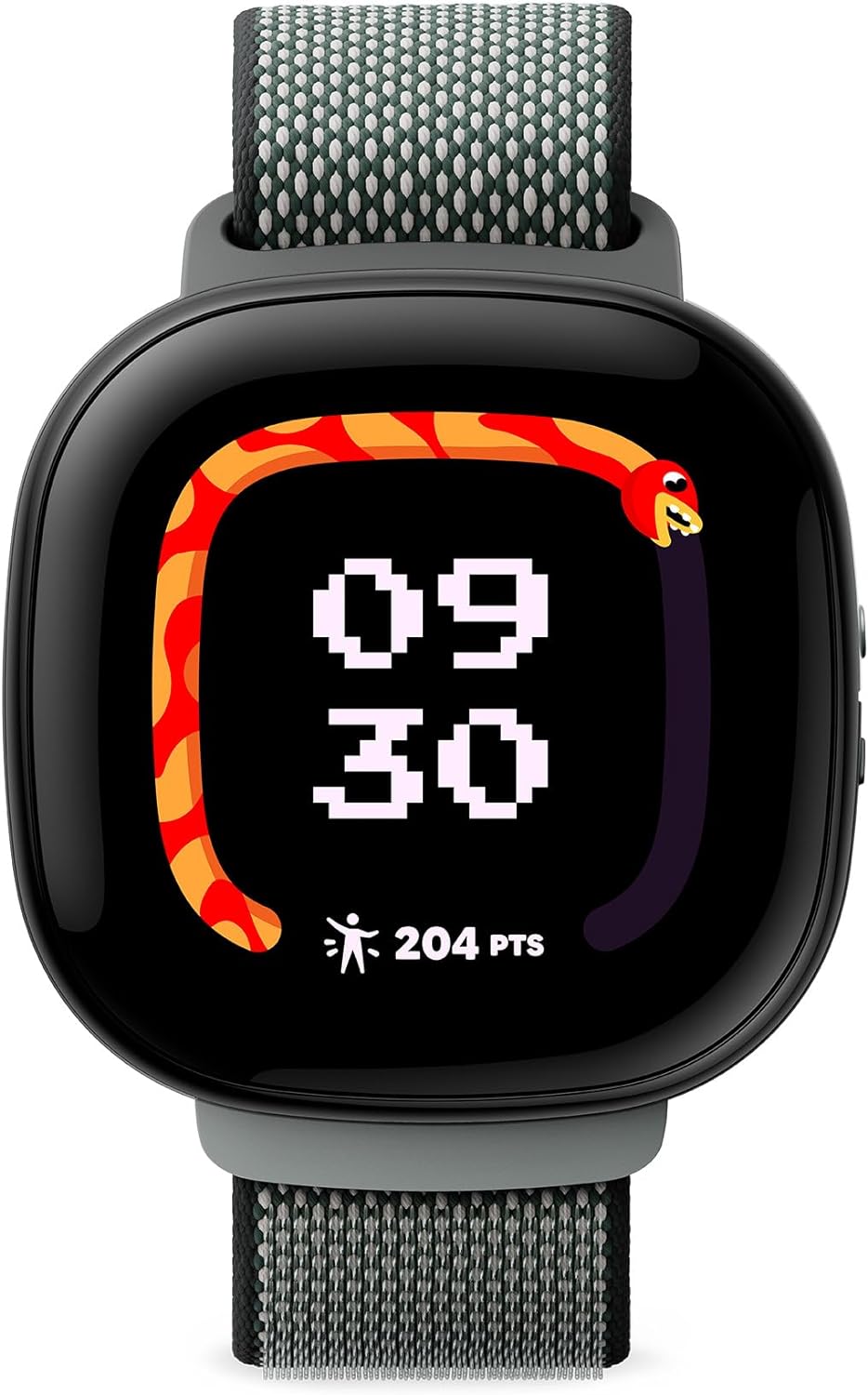 FitBitAce